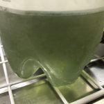 泥藍と発酵建て