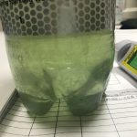 泥藍と発酵建て