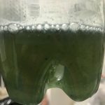 泥藍の発酵建て