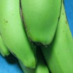 どぅじんと首里袴