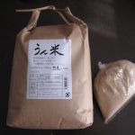 かりゆしウエア